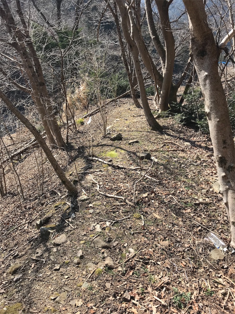 f:id:cb125250zzr250:20190317012932j:image