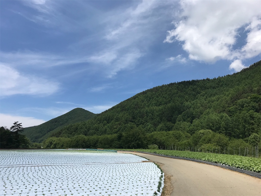 f:id:cb125250zzr250:20190626165016j:image
