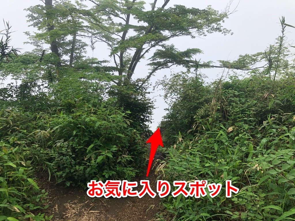 f:id:cb125250zzr250:20220220225606j:image